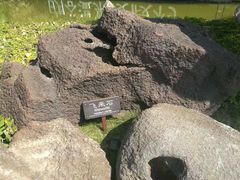 -厦门日月谷温泉渡假村