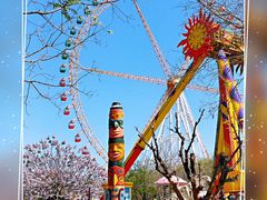 -辛玛王国游乐园