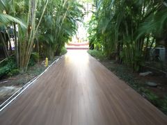 -亚马逊丛林水乐园