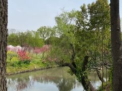 -南汇桃花村