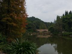 -云溪植物园