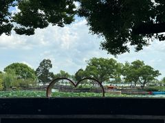 -无锡蠡湖国家湿地公园-蠡园