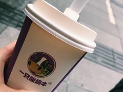 -一只酸奶牛(八一路店)