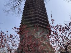 -玲珑塔公园