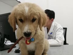-萌兽医馆·绝育·24小时内科·宠物医院(德胜店)