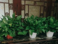 -老浒记烤鸭-北京菜(琉璃厂店)