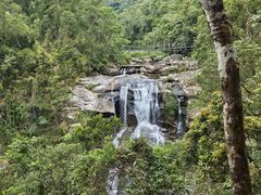-海南热带雨林国家公园吊罗山景区