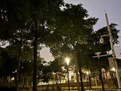 -深圳湾公园(南山区)