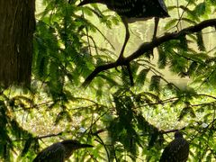 -桤木河湿地公园