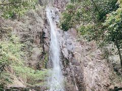 -姑婆山旅游区