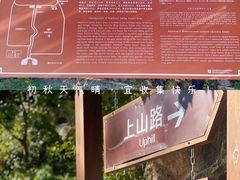 -大岭沟猕猴桃谷风景区