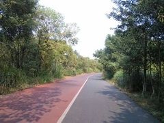 android_upload_pic-艾溪湖湿地公园