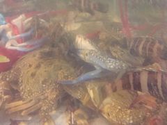 -巽寮印象美食部落餐厅·海鲜·地方特色菜(惠州体验店)