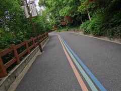 -杭州半山国家森林公园