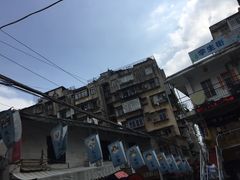 景点-猫咪博物馆(顶澳仔猫街店)