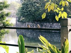 -晓港公园