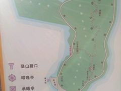 -野狸岛