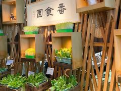 -番食园鲜食火锅(高新店)