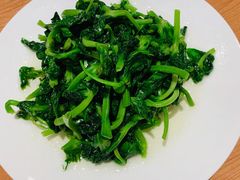 清炒豆苗-鼎泰丰(德基广场店)