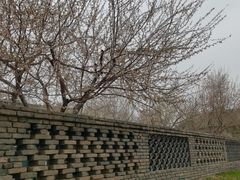 -春风习习