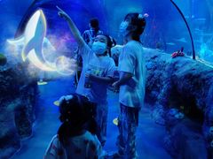 -沈阳海洋探索中心