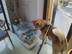 -小意思咖啡店(草桥店)