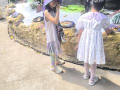 -广州长隆飞鸟乐园