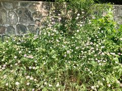 -沈阳辉山风景区