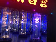 -梦幻海洋王国(吾悦广场张家港店)