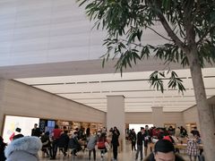 -Apple零售店(济南恒隆广场店)