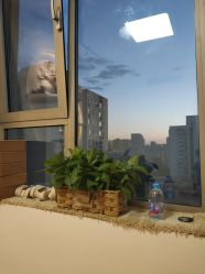 -酉嘉瑜伽YO+YOGA