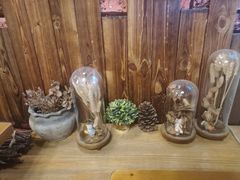 -MAX伯爵趣味互动密室逃脱(大坪D馆店)