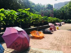 -人民公园-相亲角