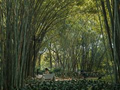 -晓港公园