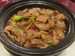 大肠煲-红灯笼龙凤饭店(宁波老字号店)