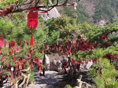 -罗田天堂寨风景区