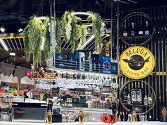 -谢列梅捷沃国际机场