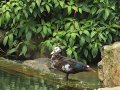 -云溪植物园