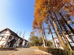 -太阳岛旅游度假区