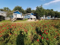 -紫海香堤香草艺术庄园