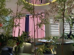 -小竹楼餐厅(窑埠古镇店)