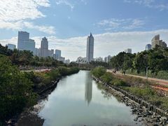 -万绿园