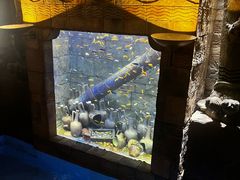 -新加坡水上探险乐园