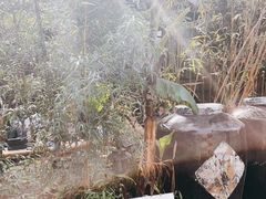 -Metal hands·铁手咖啡