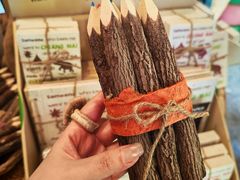 -大象粑粑造纸公园