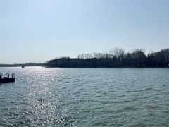 -溱湖国家湿地公园