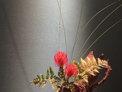 -觀芷隐轩