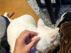 -春阳水饺(香槟广场店)