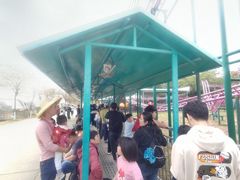 -盈香心动乐园