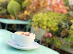 -猫小院猫主题咖啡厅(北锣店)